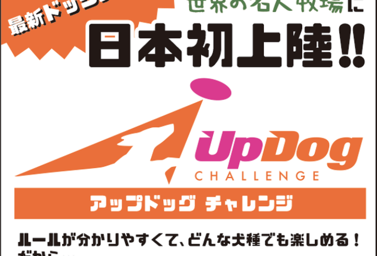 世界の名犬牧場 関東最大級 群馬のドッグラン ドッグカフェならここ