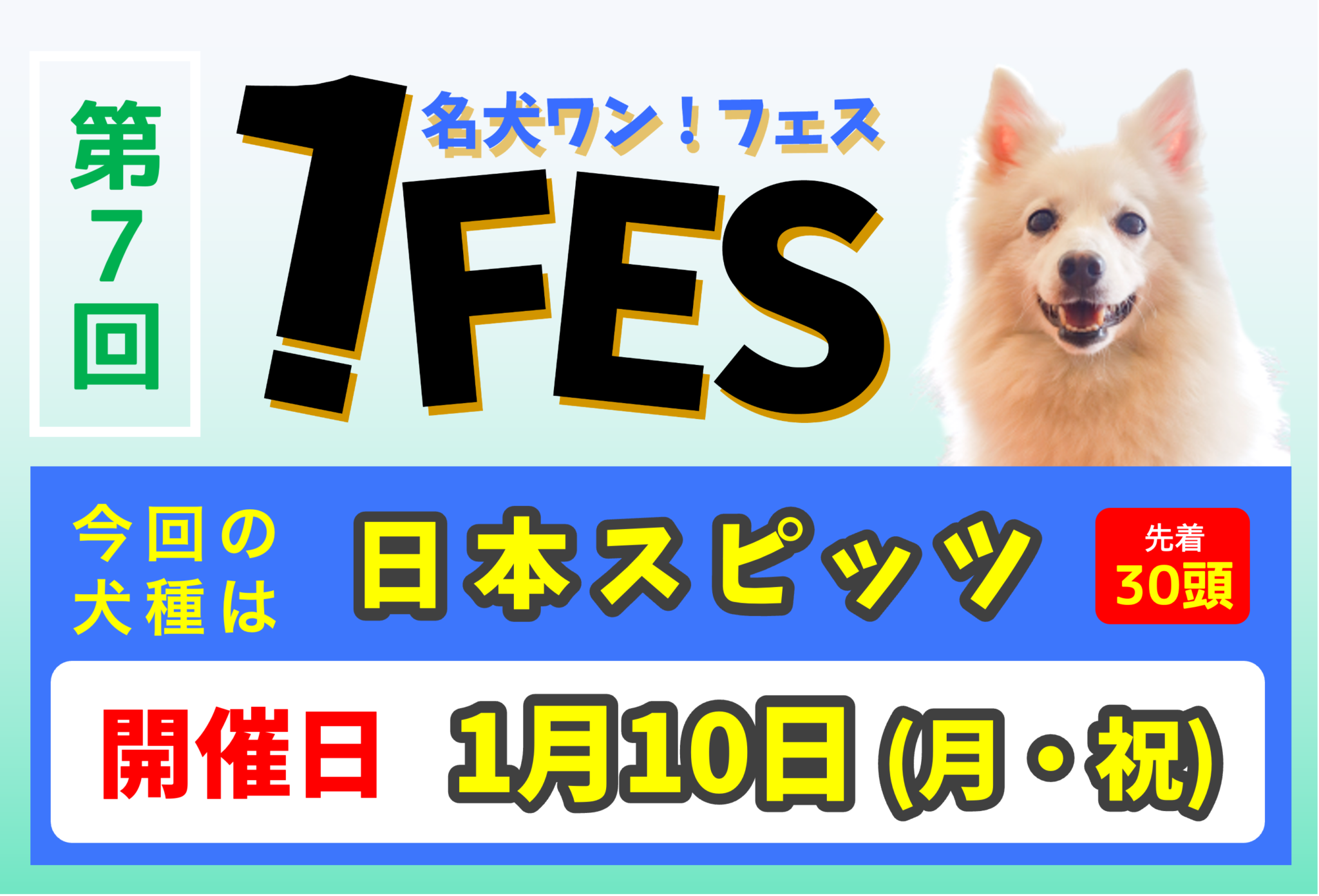 ワンフェス 日本スピッツ 7 世界の名犬牧場