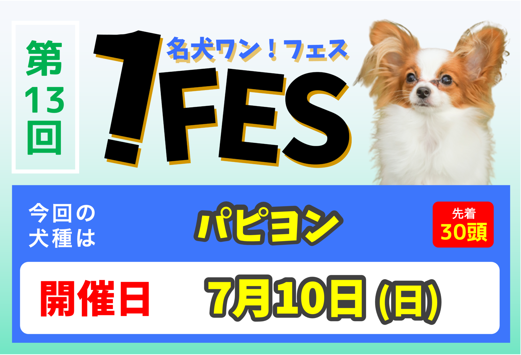 ワンフェス パピヨン 13 世界の名犬牧場