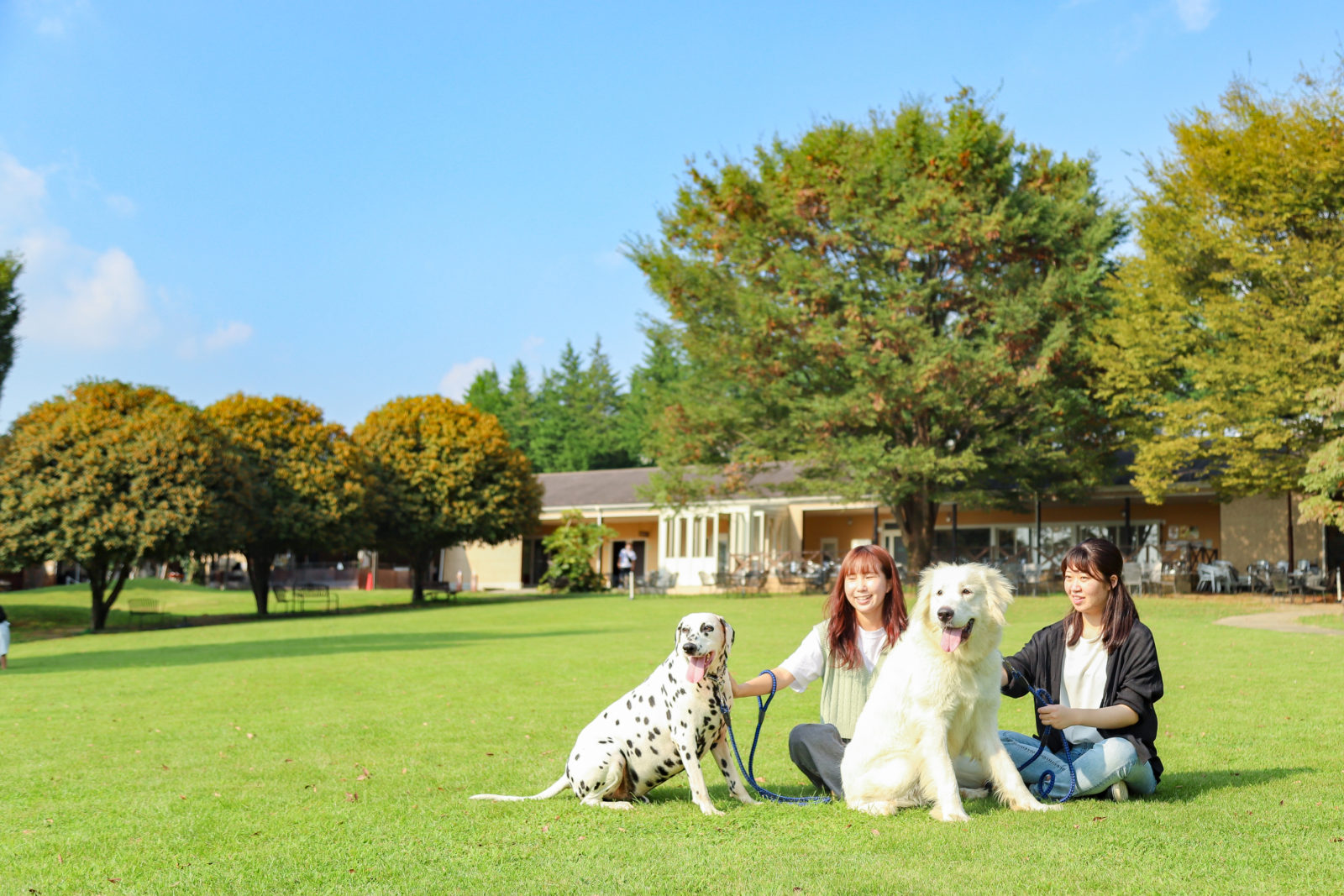 犬との生活シミュレーション 世界の名犬牧場