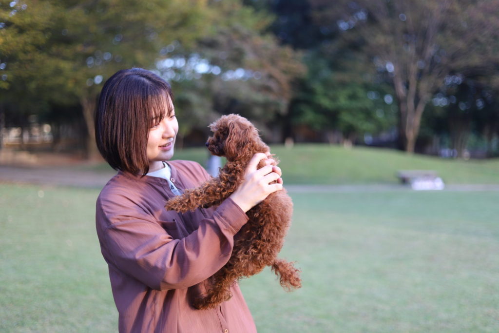 犬との生活シミュレーション 世界の名犬牧場