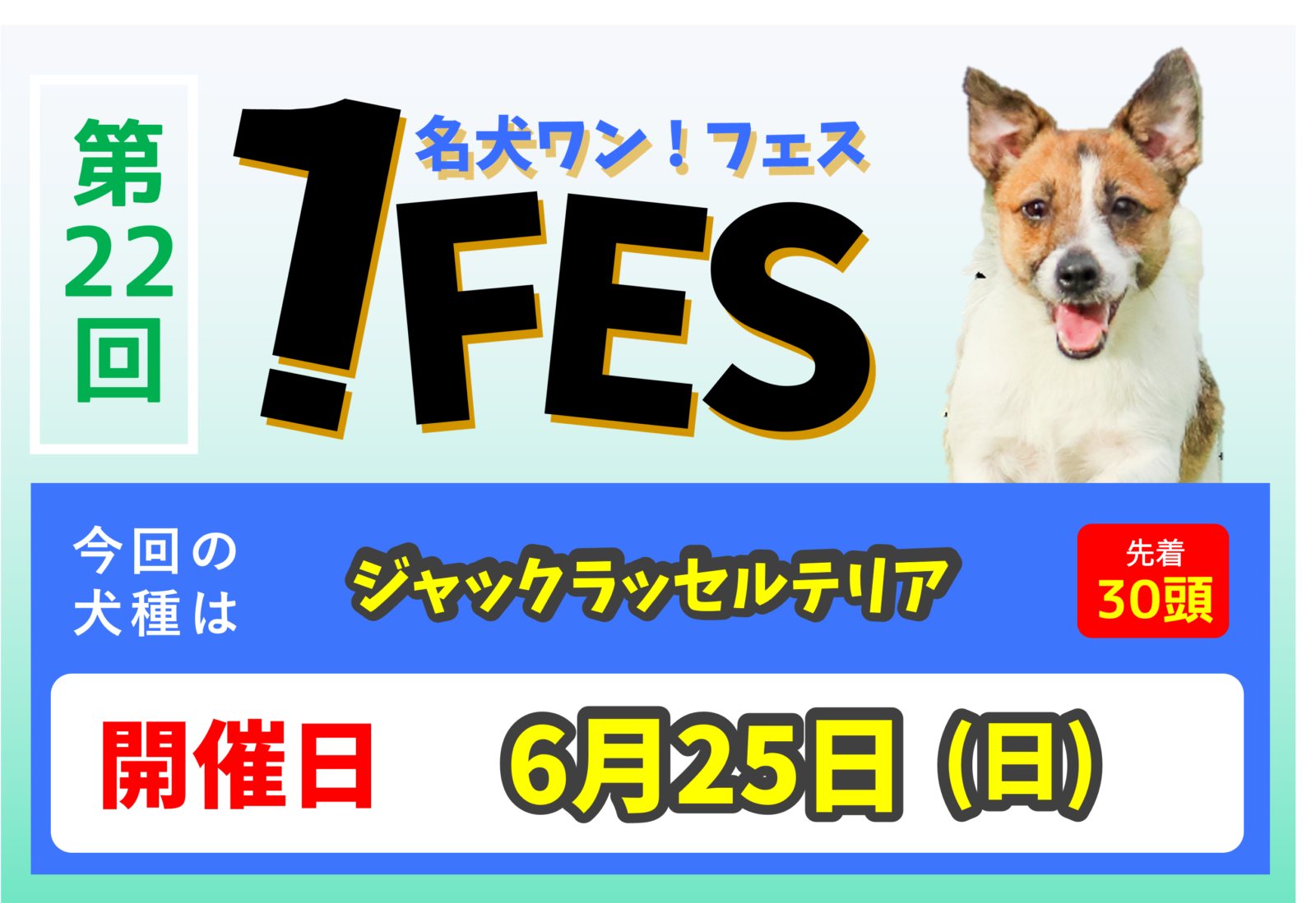 ワンフェス】ジャックラッセルテリア【#22】 | 世界の名犬牧場