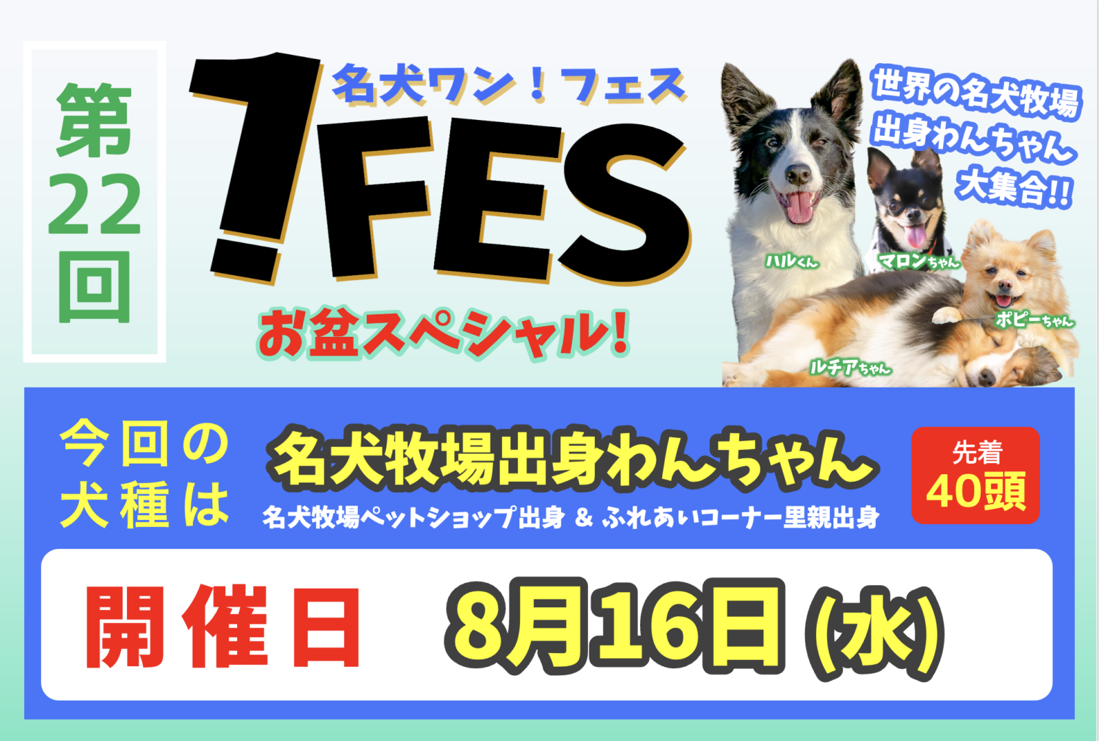 【お盆】名犬出身わんちゃん大集合【ワンフェス】 | 世界の名犬牧場