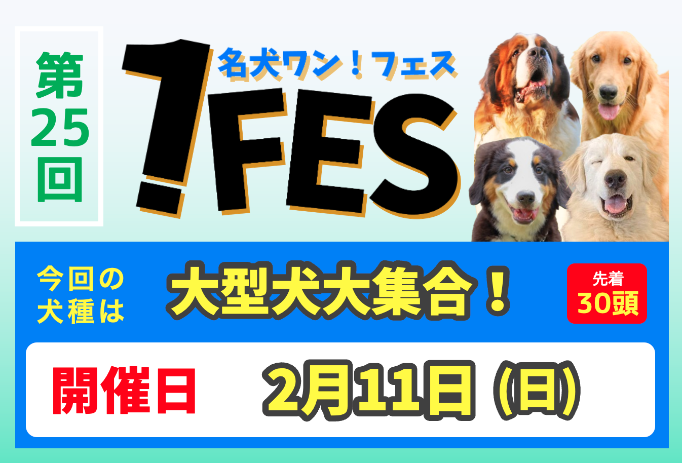 ワンフェス】大型犬大集合！【#25】 | 世界の名犬牧場