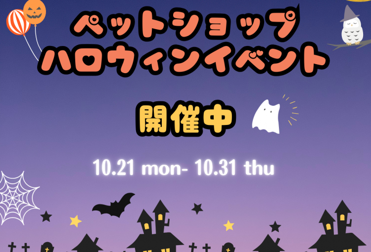 💜ハロウィンイベント開催中🧡