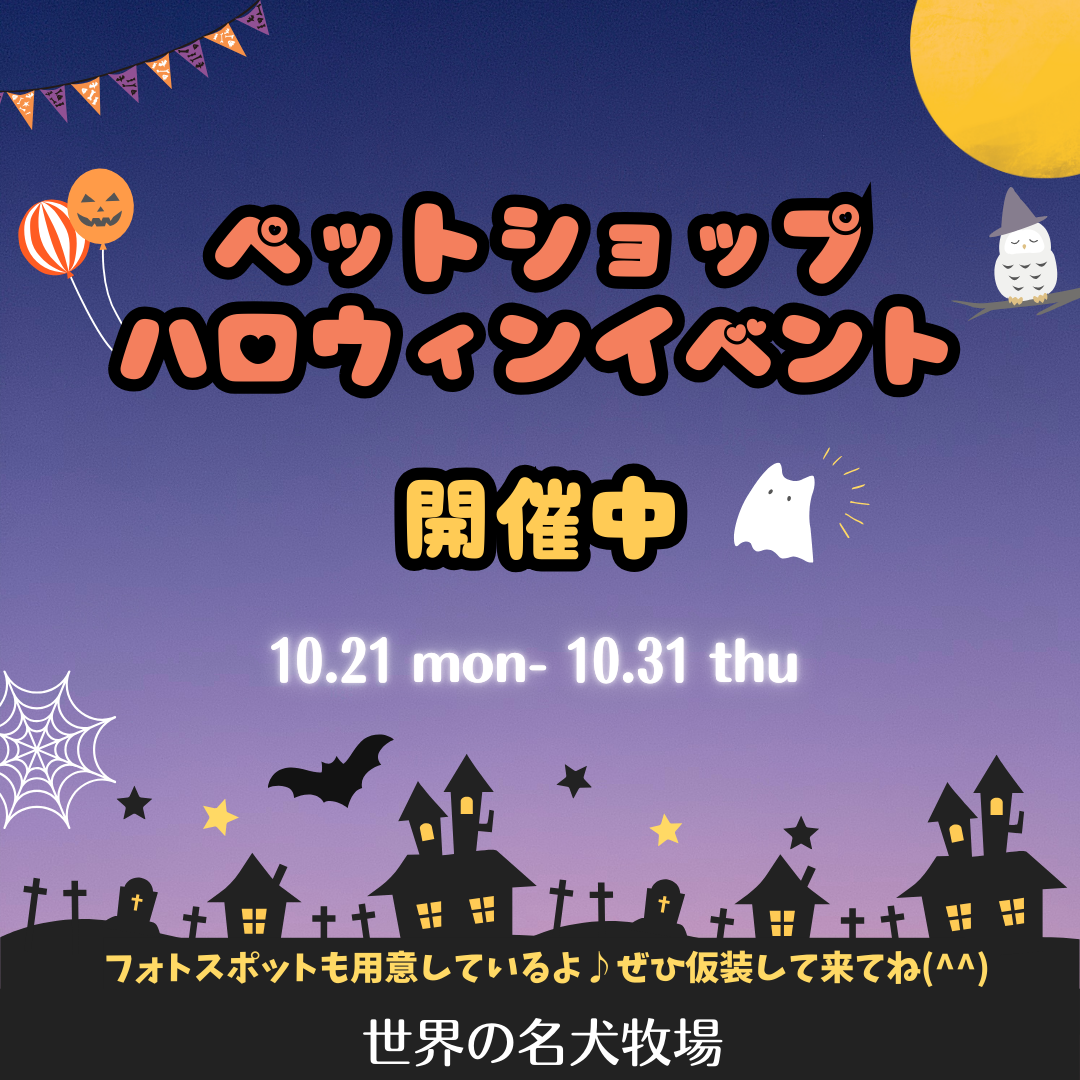 💜ハロウィンイベント開催中🧡